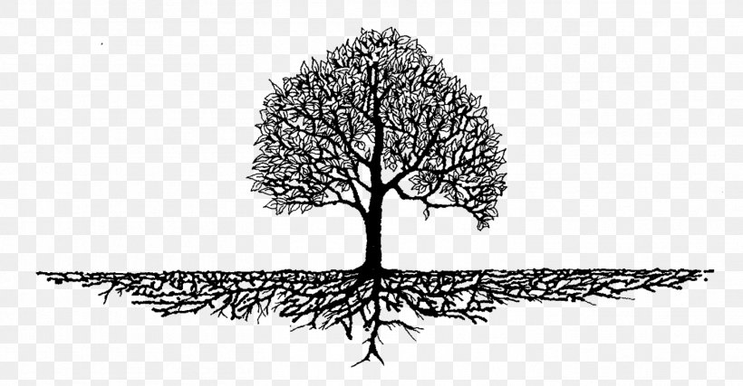 Root Tree Of Life Branch Landscaping, PNG, 1462x762px, Root, Arborist, Artwork, Black And White, Branch Download Free