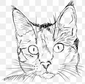 Cat Tree Images Cat Tree Transparent Png Free Download