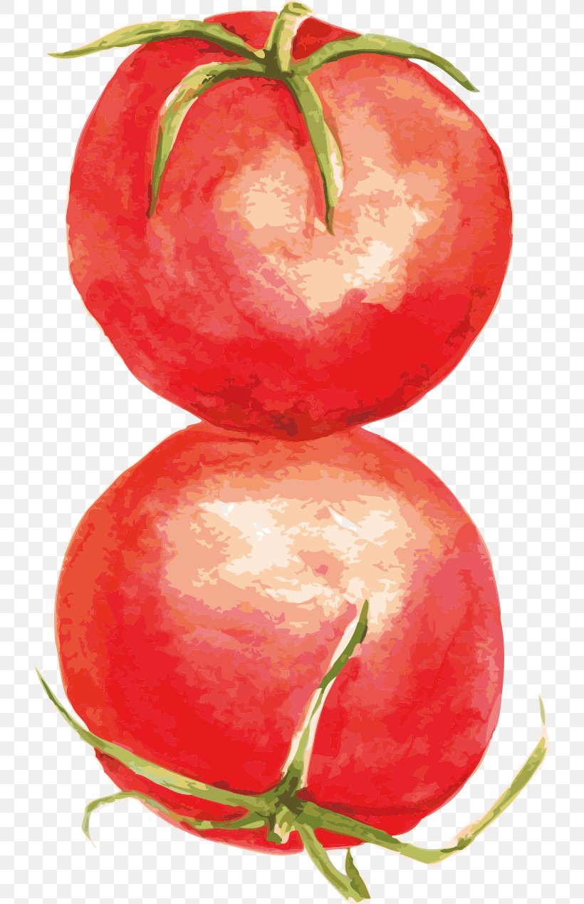 Tomato Food Computer File, PNG, 727x1268px, Tomato, Acerola, Apple, Diet Food, Food Download Free