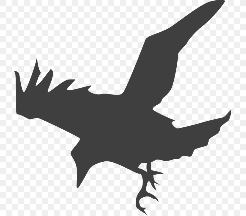 Common Raven Silhouette Clip Art, PNG, 723x720px, Common Raven, Art, Beak, Bird, Bird Of Prey Download Free