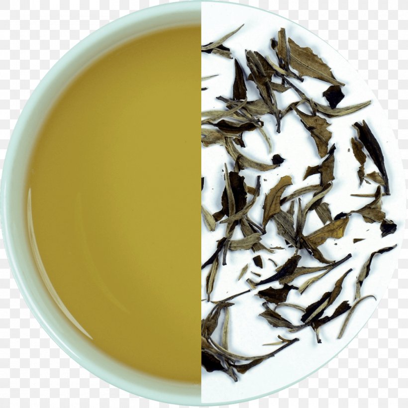 Assam Tea Darjeeling Tea White Tea Baihao Yinzhen, PNG, 1000x1000px, Assam Tea, Bai Mudan, Baihao Yinzhen, Bancha, Biluochun Download Free