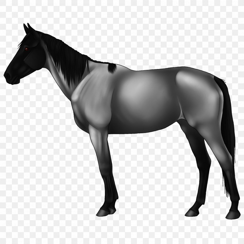 Horse Mule Stallion Pony Mare, PNG, 2000x2000px, Horse, Bit, Black And White, Bridle, Colt Download Free