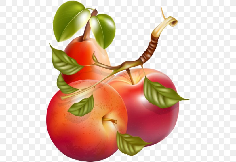 Fruit Apple Vegetable, PNG, 500x562px, Fruit, Accessory Fruit, Apple, Diet Food, Food Download Free