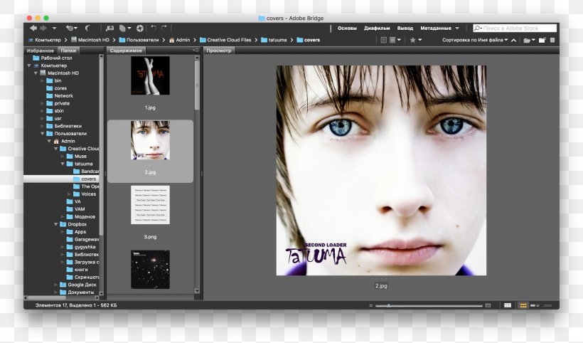 Graphics Software Computer Software Smolensk Printers Adobe Bridge, PNG, 1600x942px, Graphics Software, Adobe Bridge, Adobe Systems, Computer Program, Computer Software Download Free