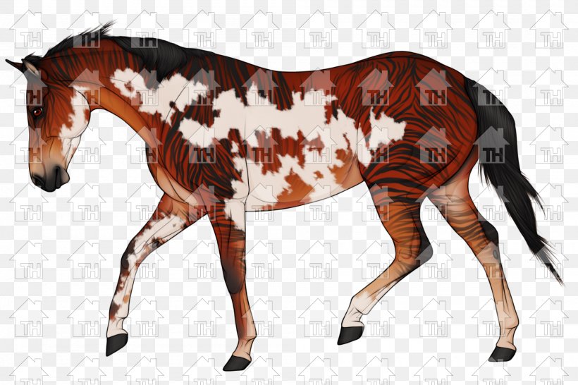Mustang Mare Foal Stallion Halter, PNG, 2000x1334px, Mustang, Animal Figure, Colt, Foal, Halter Download Free