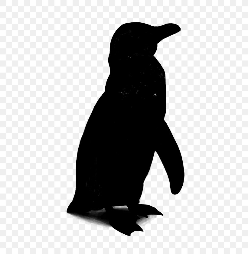 Penguin Beak Fauna Silhouette Black M, PNG, 600x840px, Penguin, Beak, Bird, Black M, Fauna Download Free