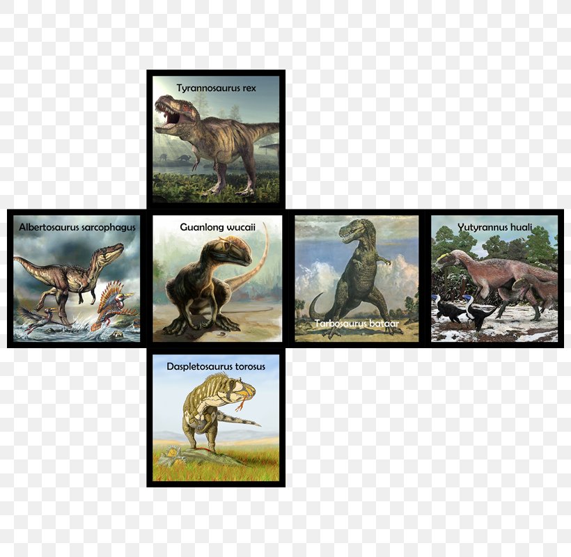 Velociraptor Carnivora Dinosaur Ecosystem Fauna, PNG, 800x800px, Velociraptor, Carnivora, Carnivoran, Cube, Dinosaur Download Free