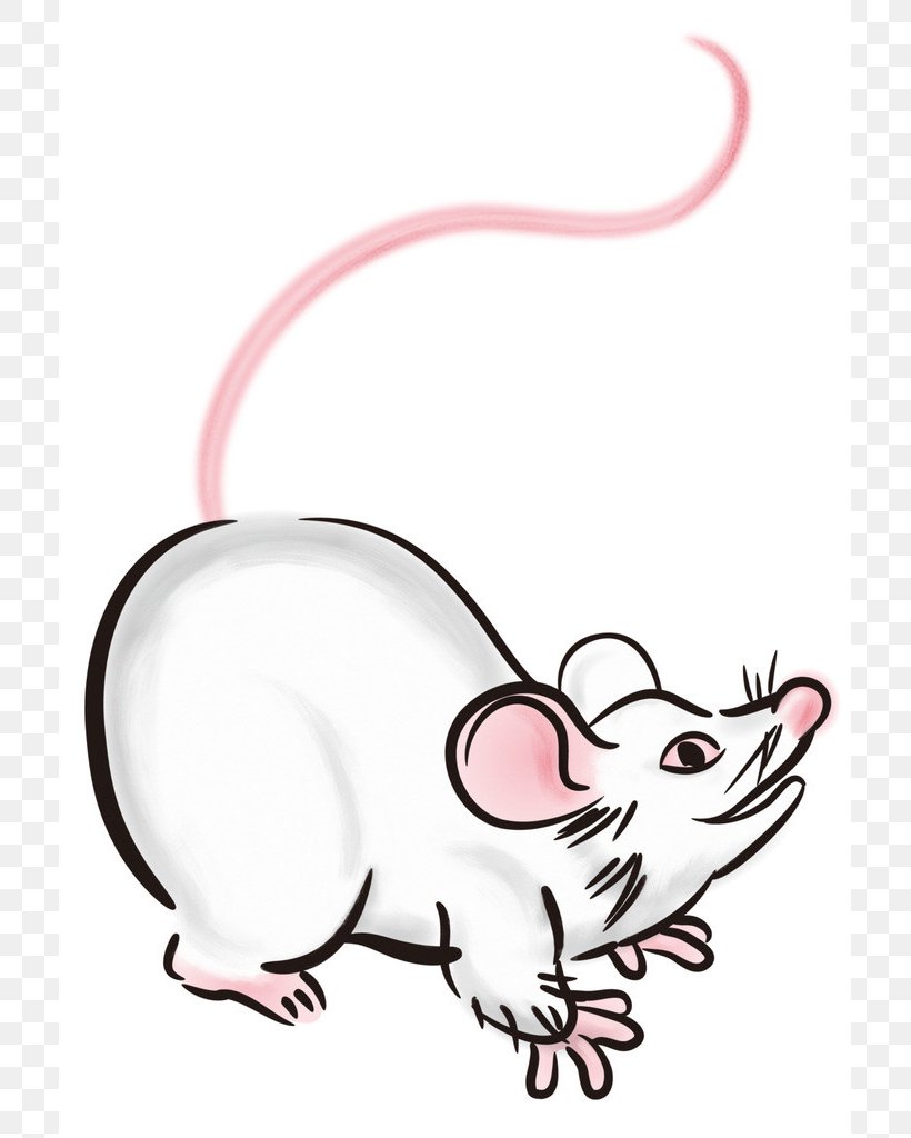 Chinese Zodiac Rat Muroids Hamster Earthly Branches, PNG, 713x1024px, Chinese Zodiac, Animal, Artwork, Carnivoran, Cartoon Download Free