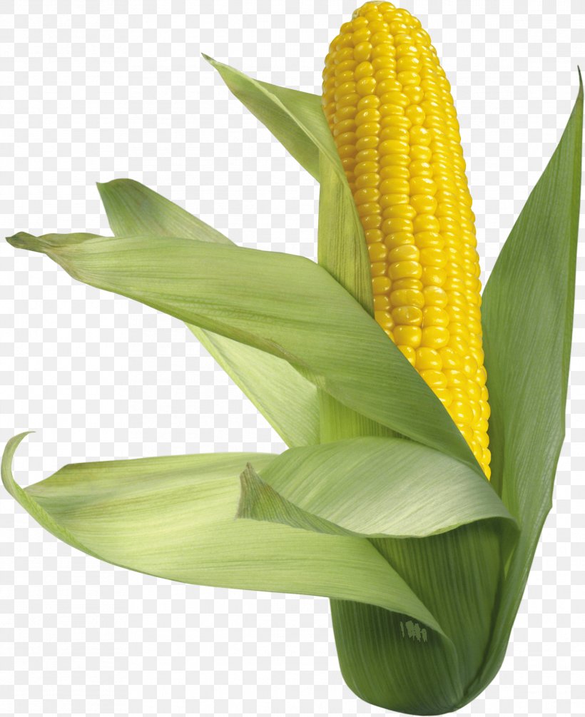Corn On The Cob Maize Sweet Corn, PNG, 2333x2862px, Waxy Corn, Banana Leaf, Caryopsis, Cereal, Commodity Download Free