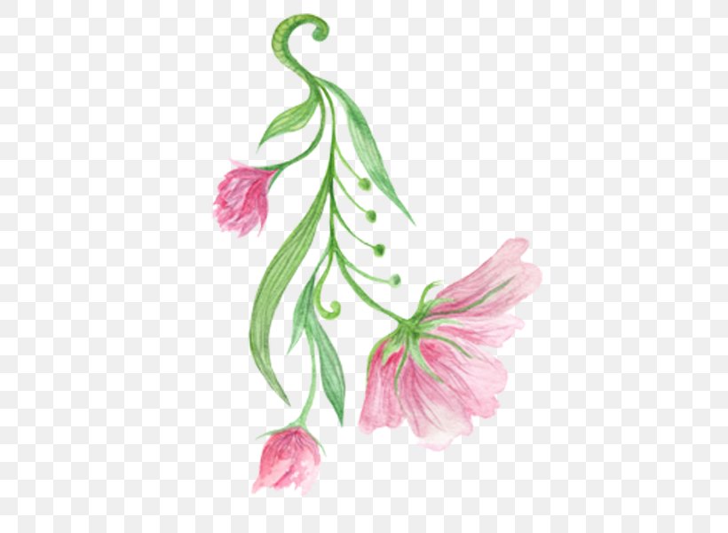 Hibiscus Mutabilis Floral Design Flower, PNG, 600x600px, Hibiscus Mutabilis, Designer, Flora, Floral Design, Floristry Download Free