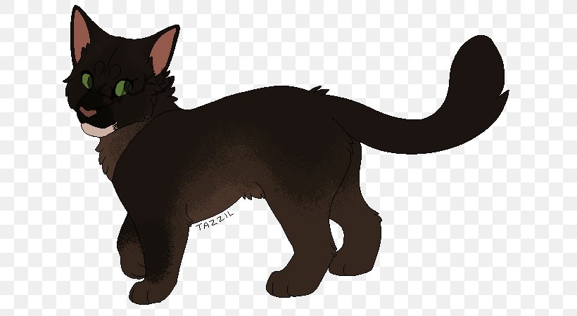 Korat Havana Brown Black Cat Whiskers Kitten, PNG, 647x450px, Korat, Asia, Asian, Black, Black Cat Download Free