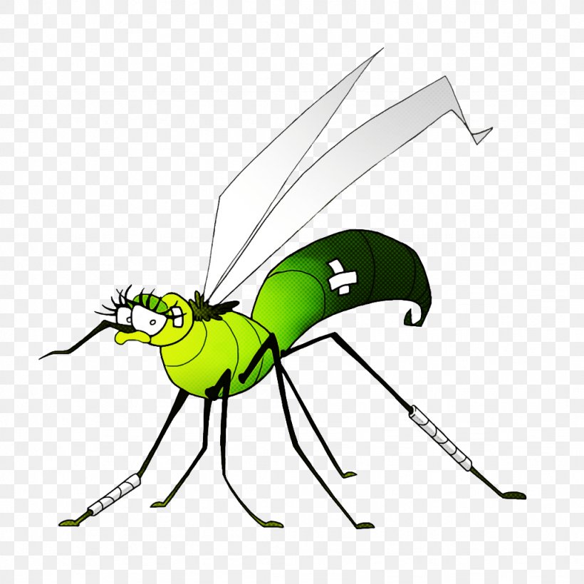 Mosquito Insect, PNG, 1024x1024px, Mosquito, Cartoon, Damselfly, Dengue Fever, Fly Download Free