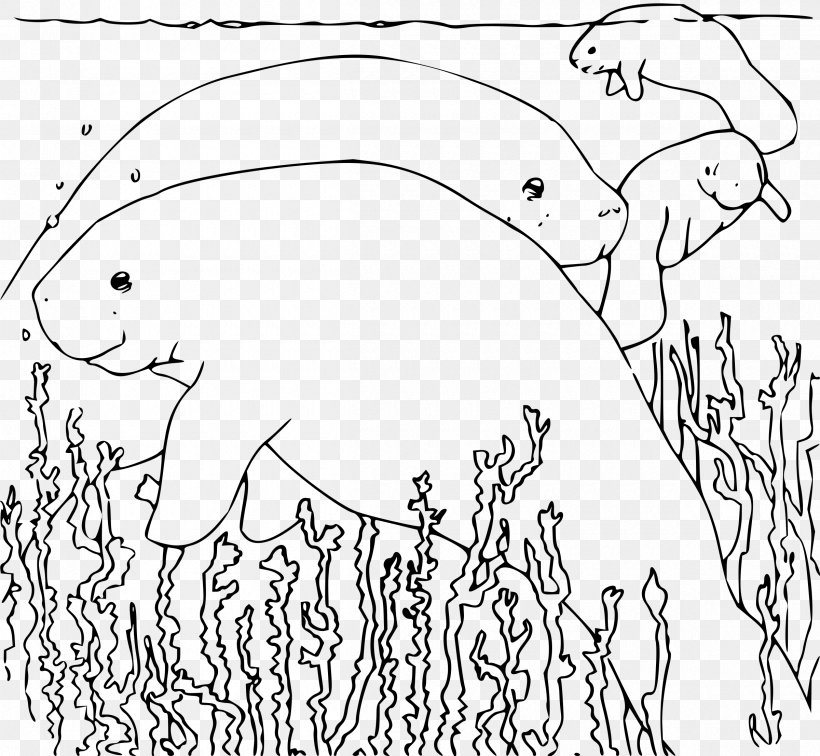 Sea Cows Coloring Book Manatee Steller's Sea Cow, PNG, 2400x2213px, Watercolor, Cartoon, Flower, Frame, Heart Download Free