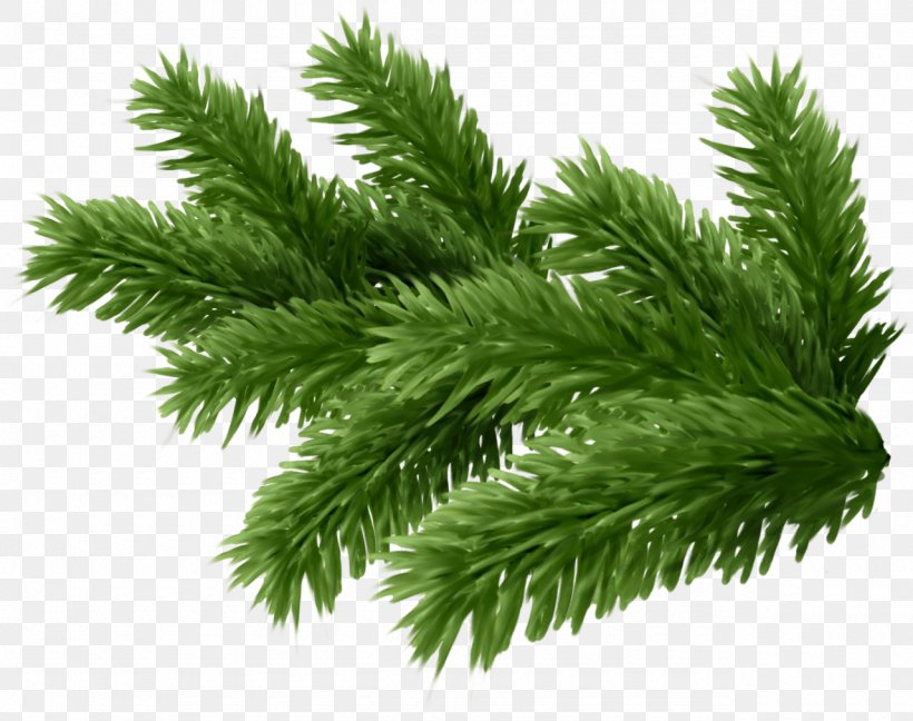 Twig New Year Tree Spruce Clip Art, PNG, 1280x1013px, Twig, Biome, Branch, Christmas, Conifer Download Free