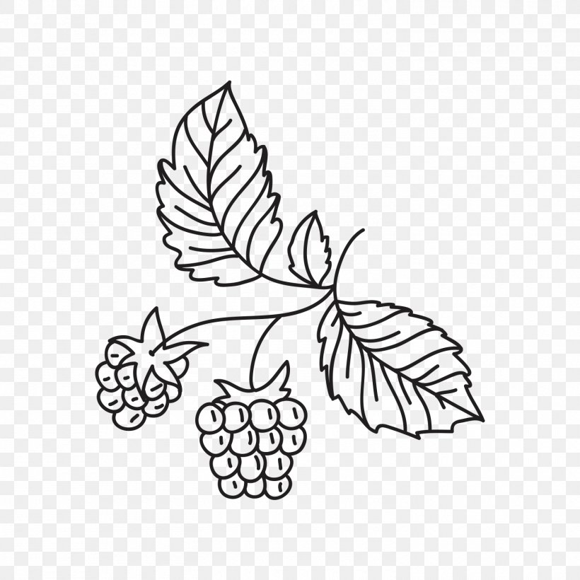 Grape Clip Art Fruit Image, PNG, 1500x1500px, Grape, Area, Artwork, Black And White, Branch Download Free