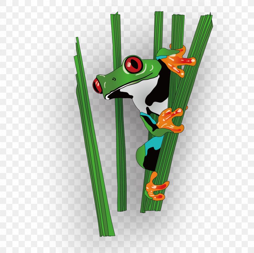 Lawn Sign Frog, PNG, 1181x1181px, Lawn, Amphibian, Frog, Grass, Green Download Free