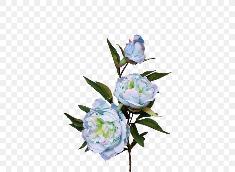 Cut Flowers Floral Design Plant Stem Petal, PNG, 800x600px, Cut Flowers, Branch, Flora, Floral Design, Flower Download Free