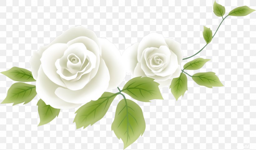 Flower Drawing Clip Art, PNG, 1529x900px, Flower, Beach Rose, Branch, Bud, Cut Flowers Download Free