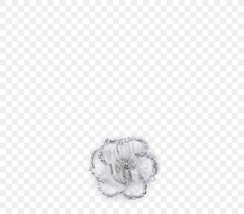 Silver Fur, PNG, 564x720px, Silver, Fur Download Free