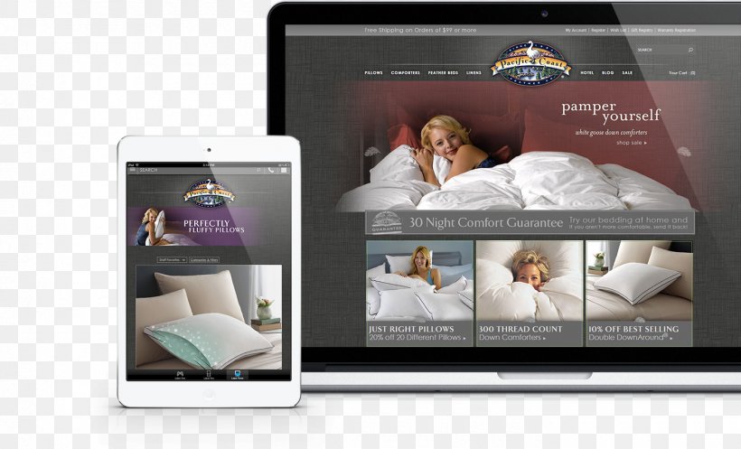 Bed West Coast Of The United States Pacific Coast Feather Company Down Feather Pillow, PNG, 1400x850px, Bed, Advertising, Bedding, Brand, Comforter Download Free