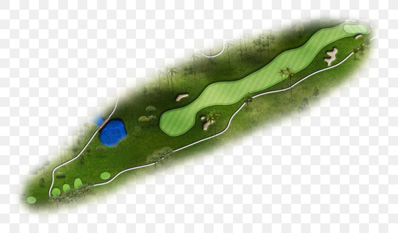 Golf Course Golf Tees Par Kapolei Golf Club, PNG, 1024x600px, Golf Course, Golf, Golf Fairway, Golf Tees, Hand Download Free