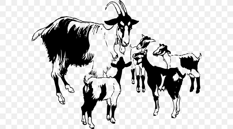 Boer Goat Black Bengal Goat Clip Art, PNG, 600x455px, Boer Goat, Art, Black And White, Black Bengal Goat, Bull Download Free