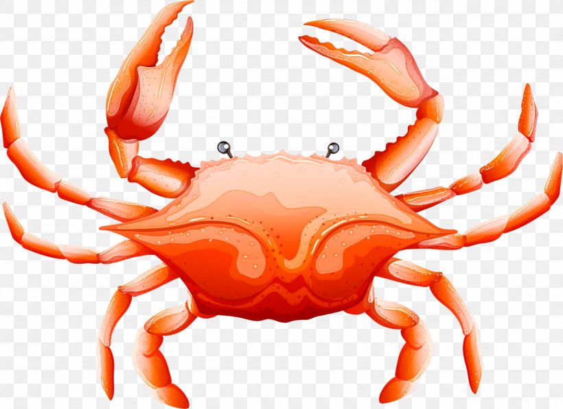 Crab Rock Crab Cancridae Freshwater Crab Dungeness Crab, PNG, 1280x932px, Crab, Cancridae, Decapoda, Dungeness Crab, Freshwater Crab Download Free