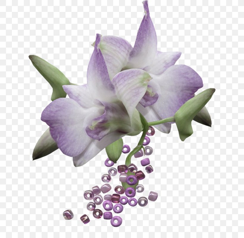 Dendrobium Flower Clip Art, PNG, 630x800px, Dendrobium, Animaatio, Flower, Flower Bouquet, Flowering Plant Download Free