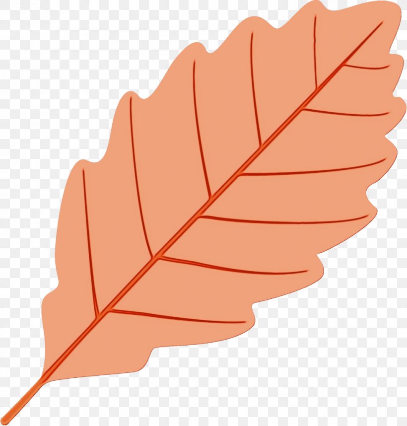 Orange, PNG, 980x1026px, Watercolor, Beech, Deciduous, Flower, Leaf Download Free