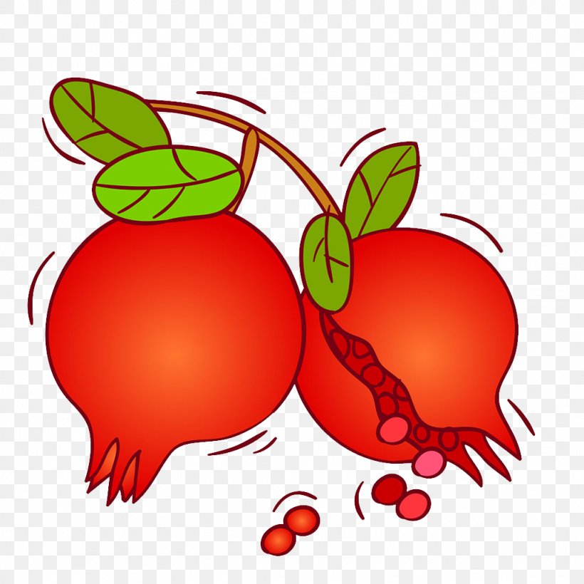 Pomegranate Fruit, PNG, 1024x1024px, Pomegranate, Apple, Artwork, Auglis, Cartoon Download Free