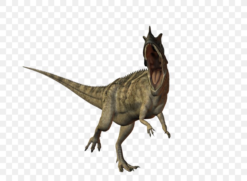Tyrannosaurus Constructeur Dinosaur Velociraptor, PNG, 800x600px, Tyrannosaurus, Animal, Animal Figure, Child, Constructeur Download Free
