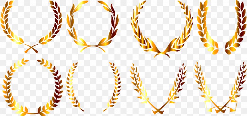 Wheat Barley, PNG, 1300x615px, Wheat, Barley, Body Jewelry, Commodity, Gold Download Free