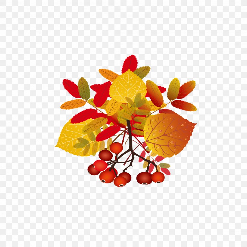 Autumn Leaf Information, PNG, 2222x2222px, Autumn, Auglis, Branch, Floral Design, Flower Download Free