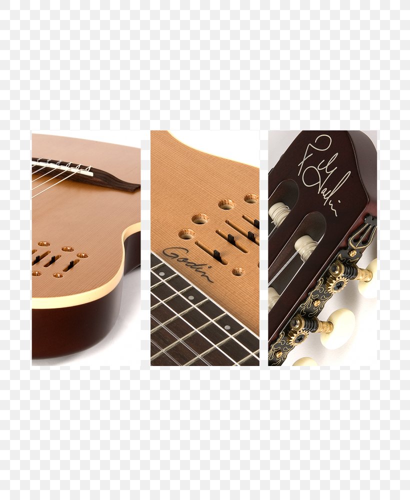 Godin Classical Guitar Electric Guitar Acoustic Guitar, PNG, 726x1000px, Godin, Acoustic Guitar, Acousticelectric Guitar, Bag, Bass Guitar Download Free