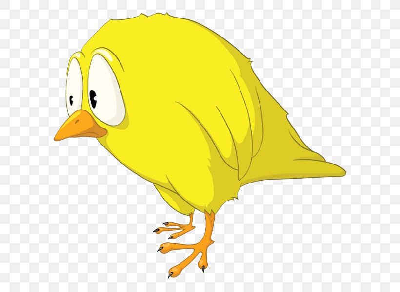 Tweety Bird Cartoon Character, PNG, 600x600px, Tweety, Animation, Art, Beak, Bird Download Free