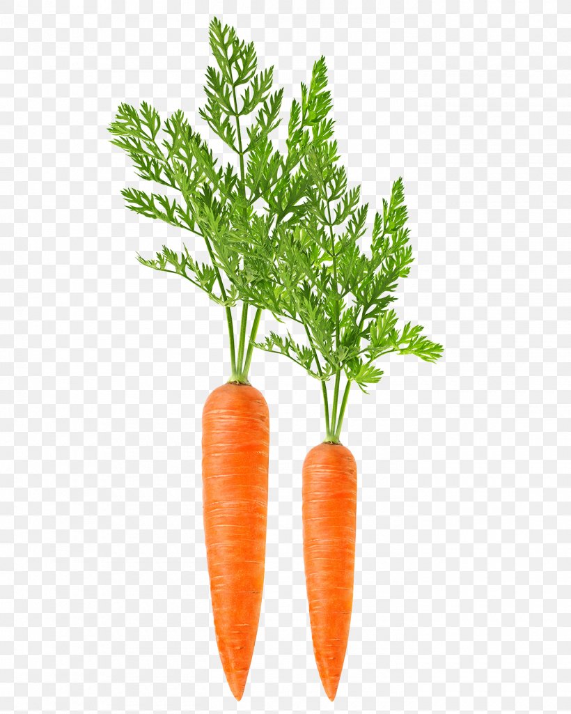 Carrot Harvester Leaf Vegetable Food, PNG, 1400x1750px, Carrot, Baby Carrot, Brunoise, Carrot Harvester, Carrot Juice Download Free