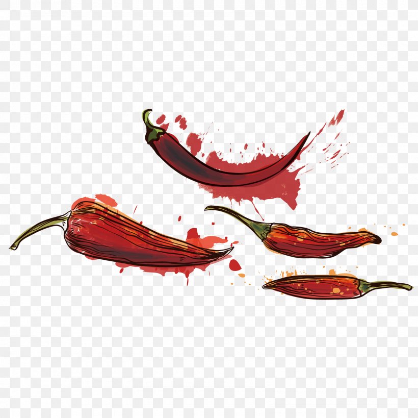 Cayenne Pepper Chili Pepper Download, PNG, 1600x1600px, Cayenne Pepper, Bell Peppers And Chili Peppers, Capsicum Annuum, Chili Pepper, Computer Graphics Download Free