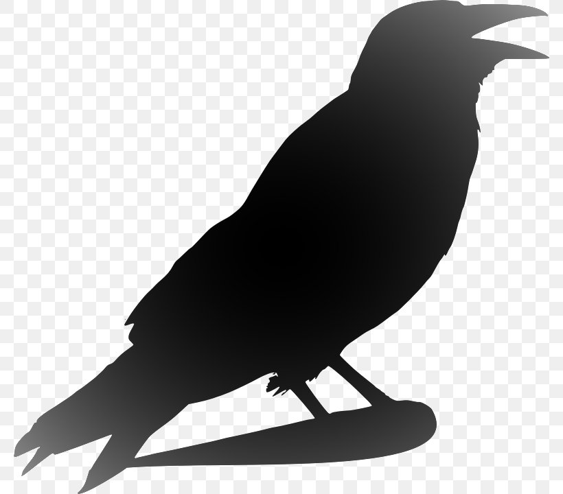 Clip Art Openclipart Crow Image, PNG, 780x720px, Crow, American Crow, Beak, Bird, Crow Family Download Free