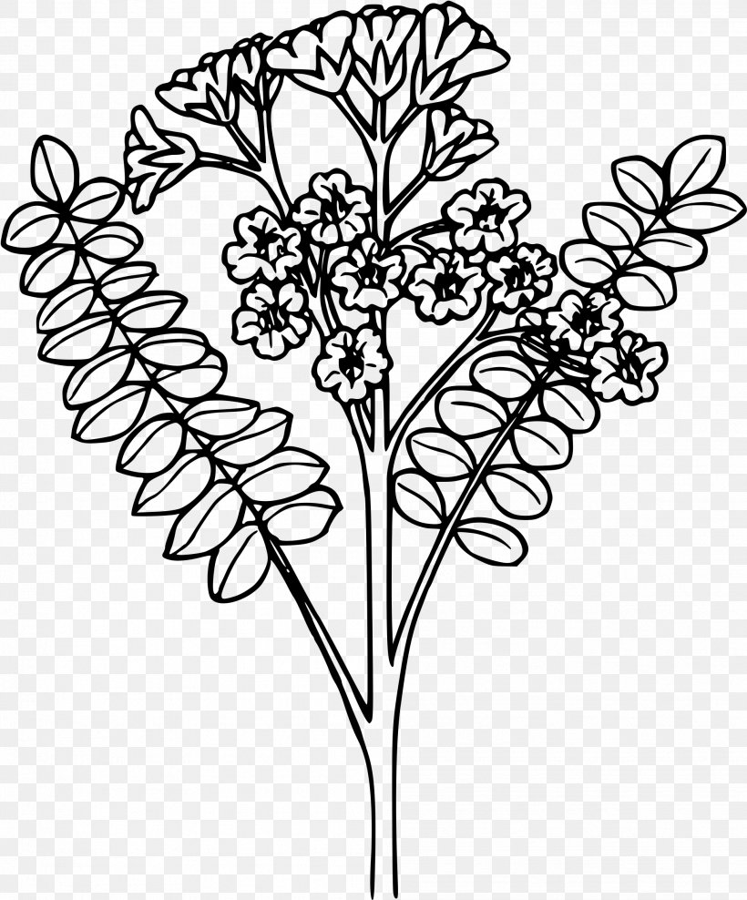 Drawing Line Art Jacob's Ladder Visual Arts, PNG, 1991x2400px, Drawing, Art, Black And White, Branch, Cut Flowers Download Free