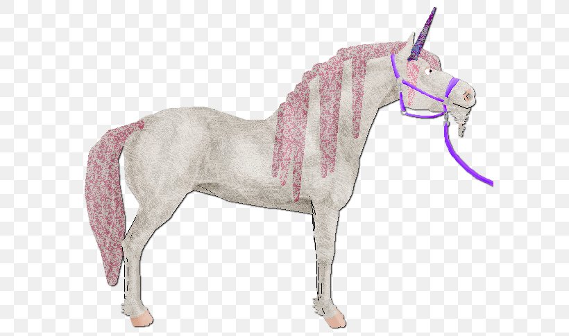Mane Mustang Pony Foal Stallion, PNG, 603x485px, Mane, Bridle, Dog Harness, Fauna, Fictional Character Download Free