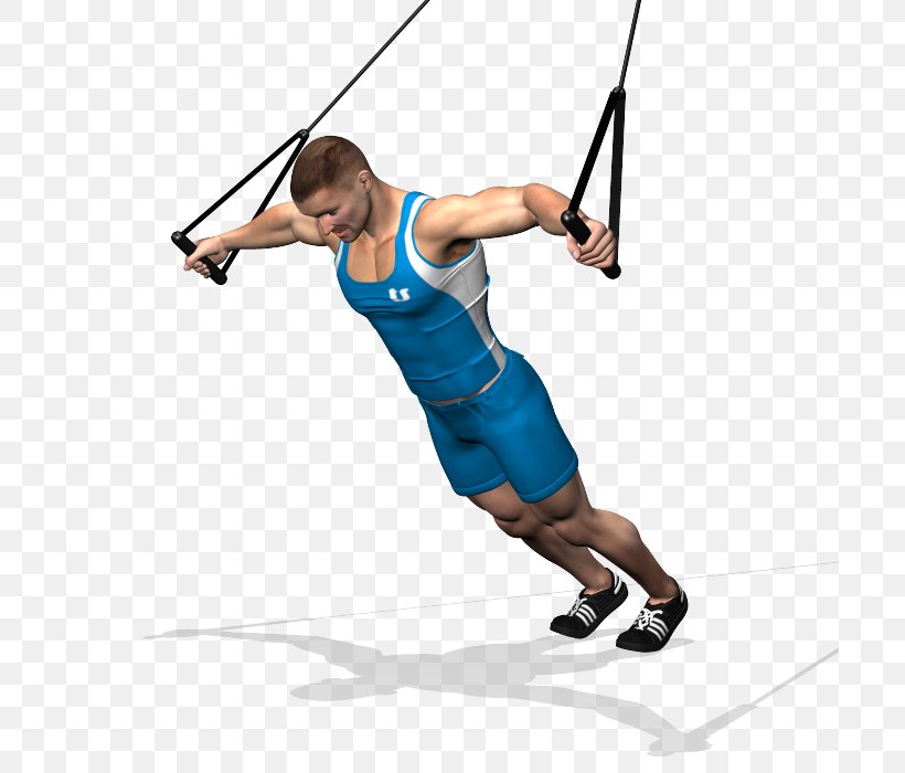 Suspension Training Exercise Physical Fitness Weight Training Functional Training, PNG, 700x700px, Suspension Training, Alzata Laterale, Arm, Barbell, Biceps Download Free