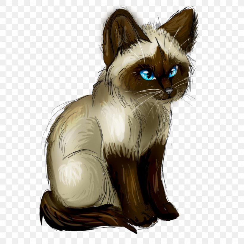 Whiskers Balinese Cat Siamese Cat Kitten Paw, PNG, 894x894px, Whiskers, Balinese, Balinese Cat, Carnivoran, Cat Download Free