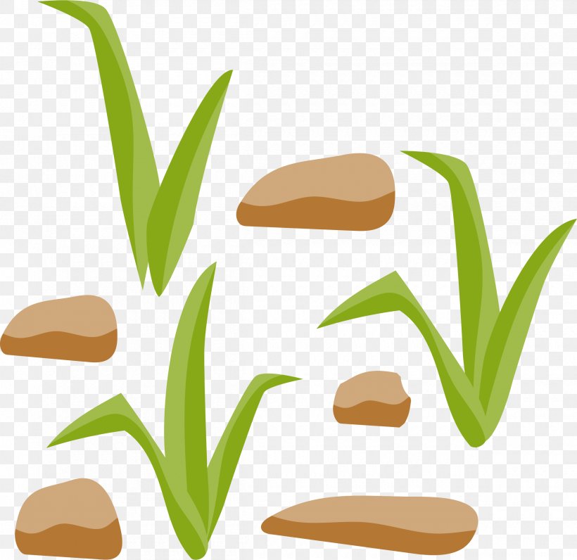 Clip Art, PNG, 2400x2332px, Rock, Commodity, Flower, Grass, Grass Family Download Free
