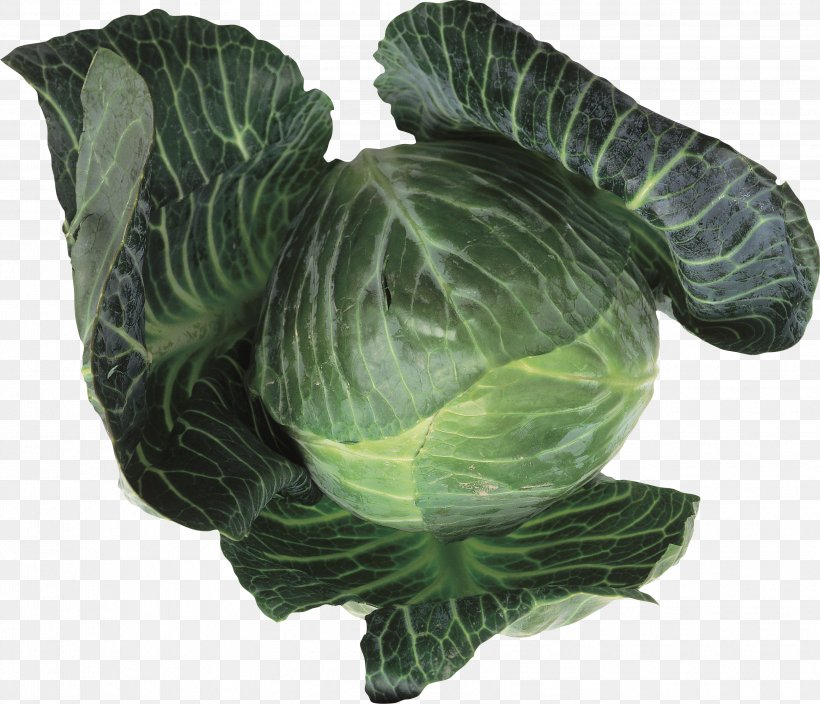 Collard Greens Leaf Vegetable Cabbage Food Brussels Sprout, PNG, 3415x2932px, Collard Greens, Brassica Oleracea, Brussels Sprout, Cabbage, Cauliflower Download Free