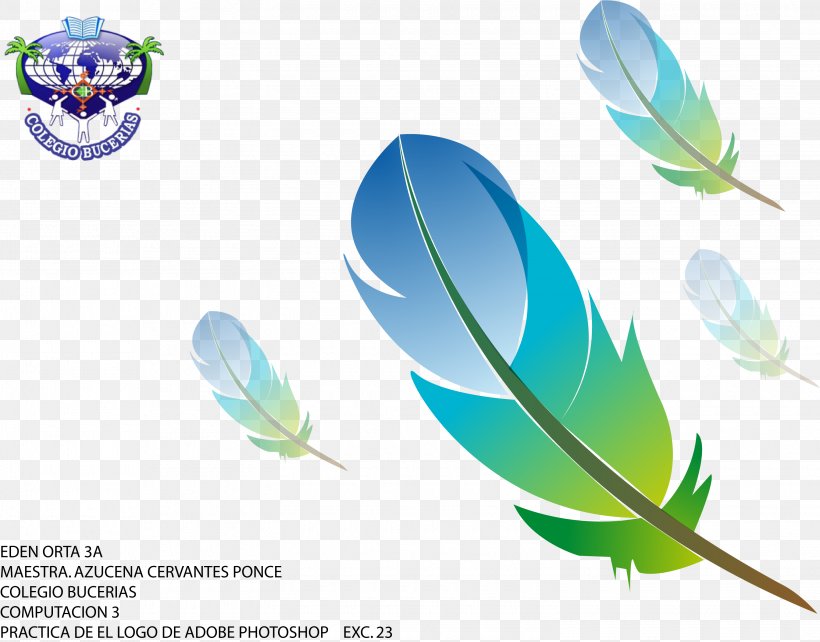 Feather Pen Logo, PNG, 3050x2391px, Feather, Adobe Systems, Color Gradient, Leaf, Logo Download Free
