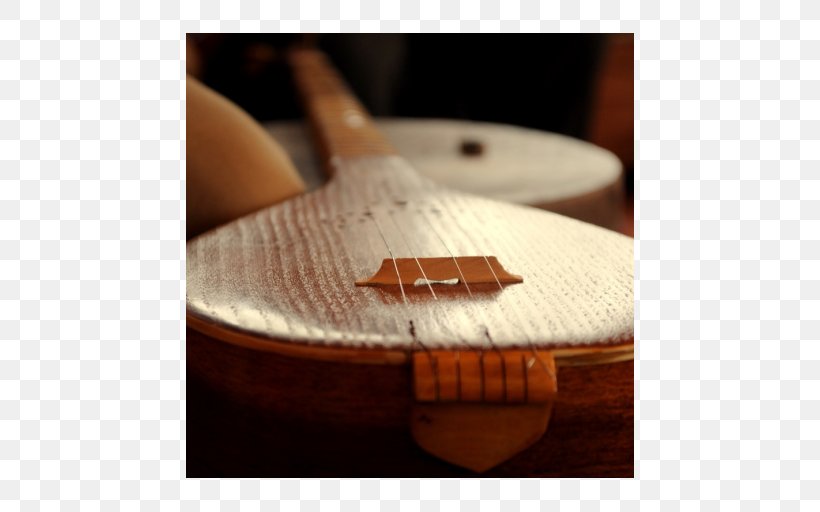 Setar Musical Instruments Guitar Picks, PNG, 512x512px, Watercolor, Cartoon, Flower, Frame, Heart Download Free