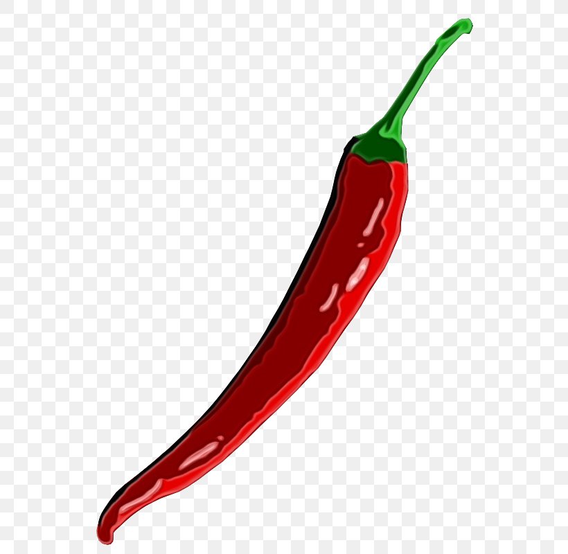 Bird, PNG, 566x800px, Watercolor, Birds Eye Chili, Capsicum, Cayenne Pepper, Chili Con Carne Download Free