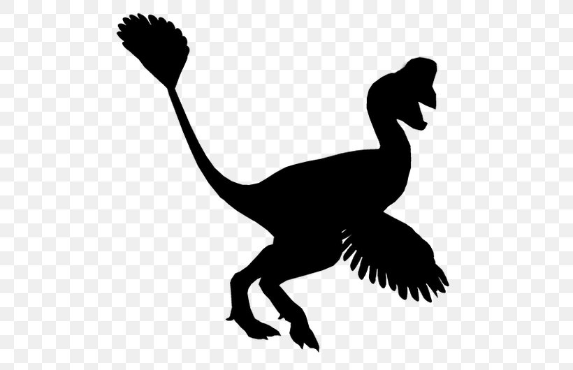 Ducks Cygnini Goose Velociraptor, PNG, 530x530px, Duck, Beak, Bird, Character, Cygnini Download Free
