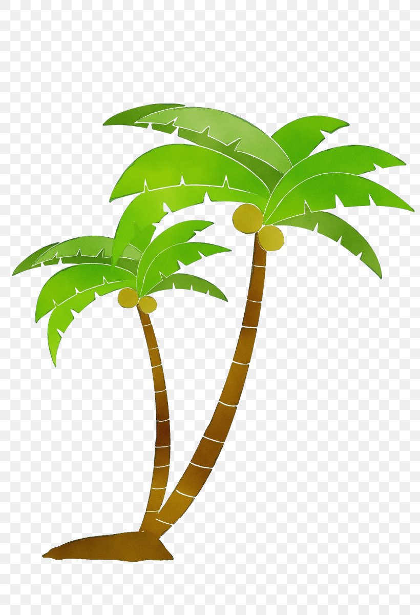 Palm Tree, PNG, 800x1200px, Watercolor, Arecales, Leaf, Paint, Palm Tree Download Free