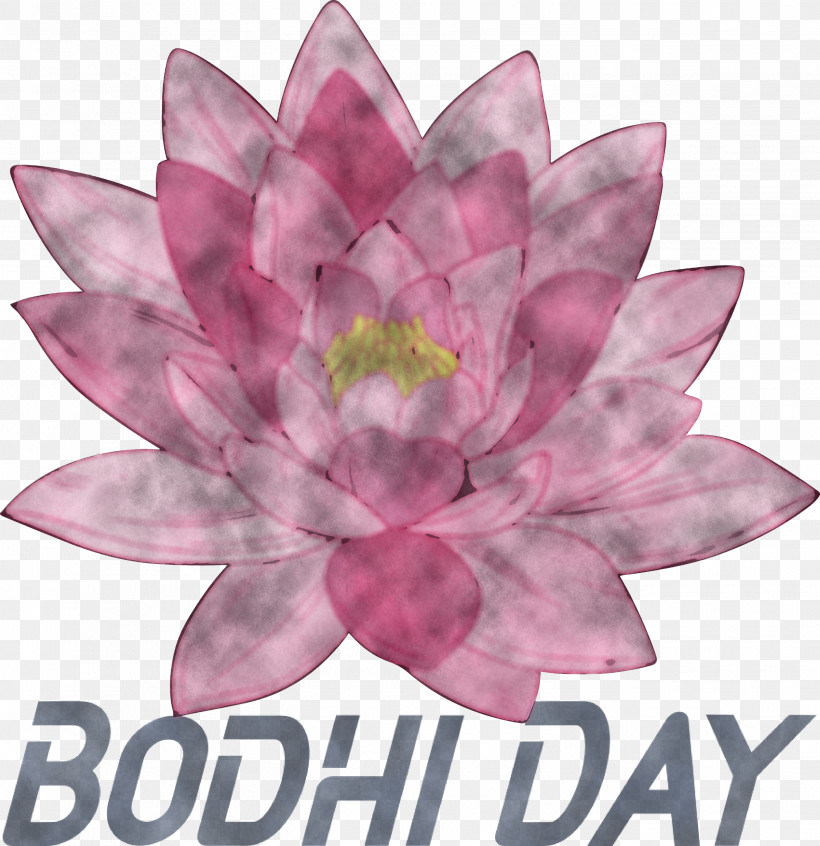 Bodhi Day Bodhi, PNG, 2905x3000px, Bodhi Day, Bodhi, Cut Flowers, Flower, Lilac M Download Free